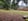 Nature house in BAN SUR MEURTHE