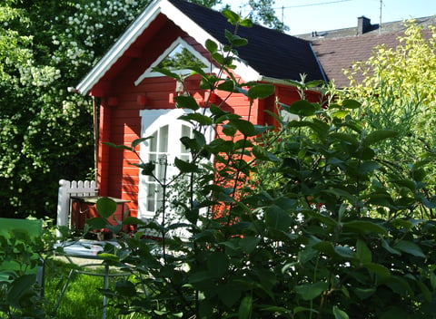 Nature house in Bernkastel-Kues: 2