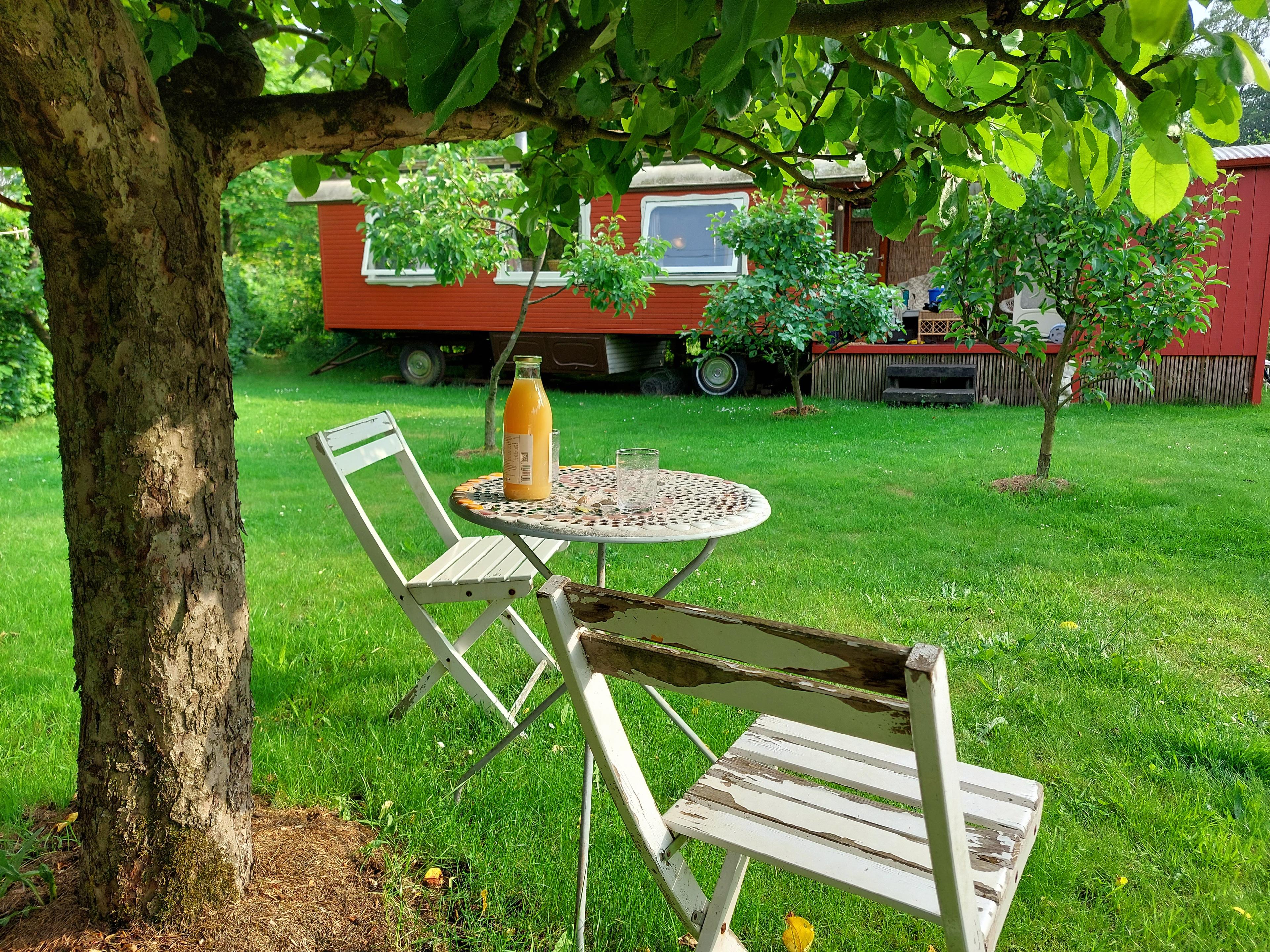 Maison nature à Winterswijk