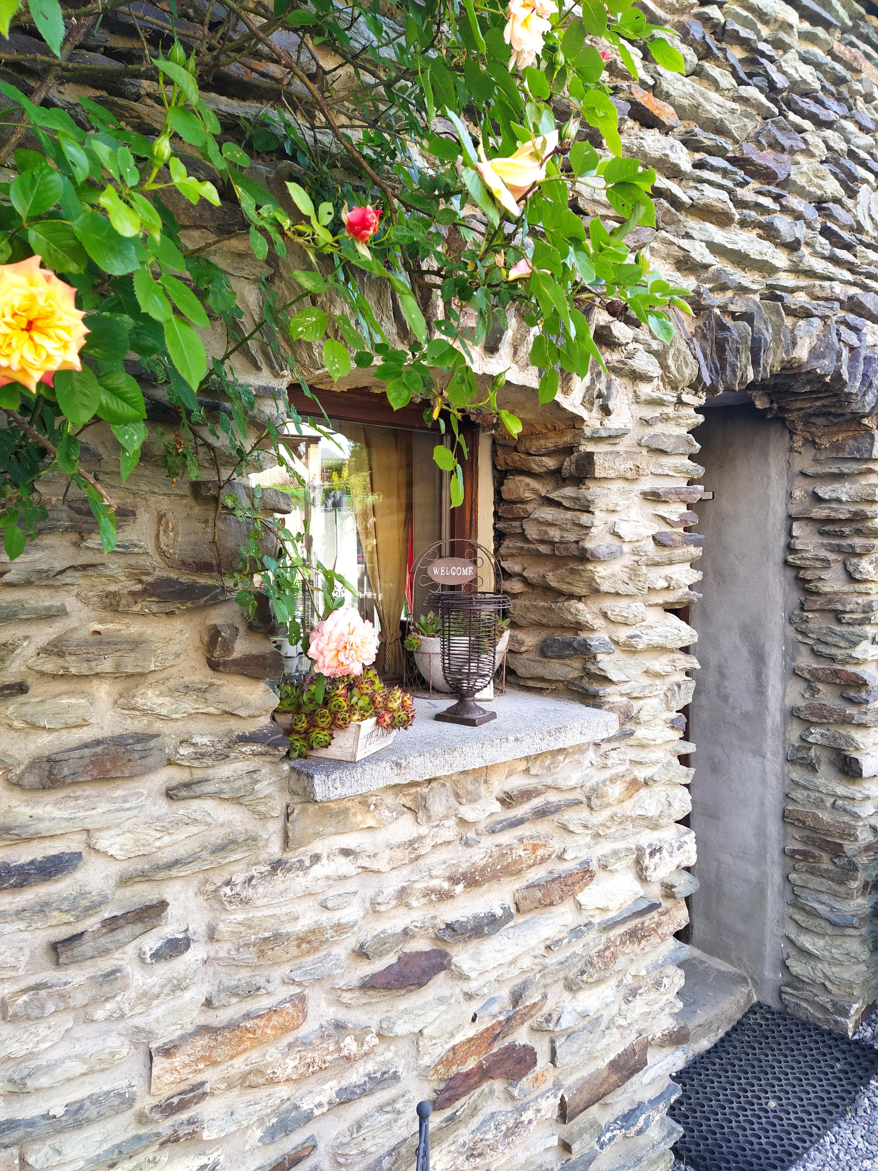 Maison nature à Bertogne