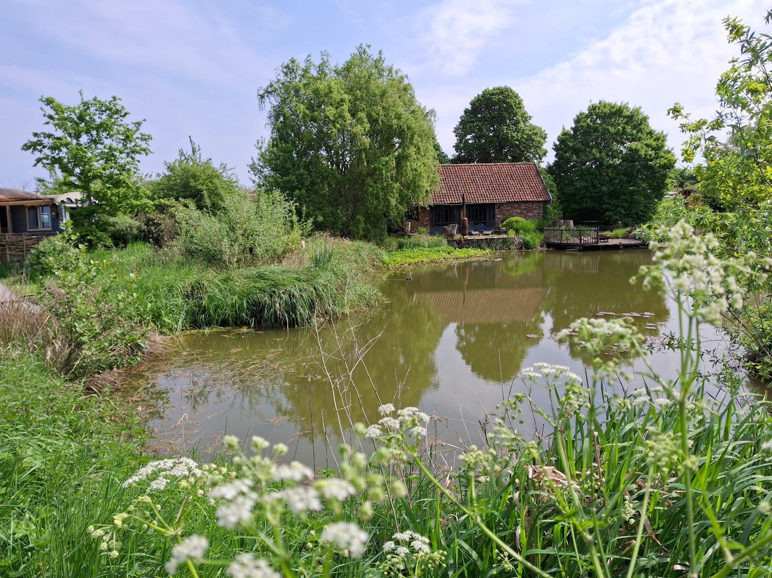 Nature house in Zarren