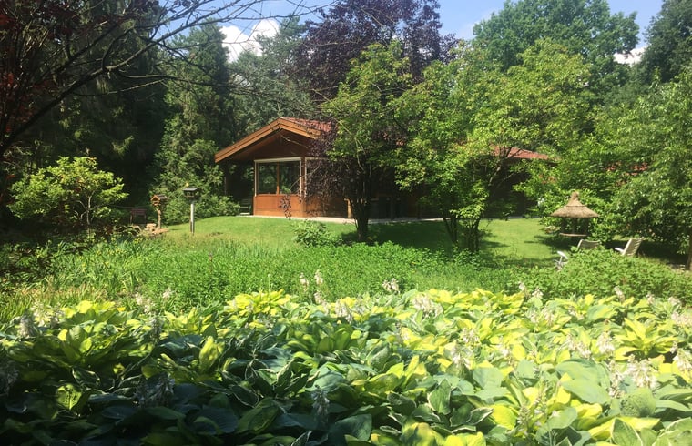 Natuurhuisje in Uelsen