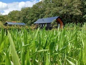 Maison nature à Hollandscheveld