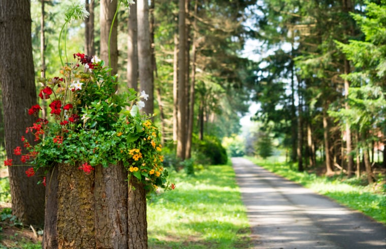 Natuurhuisje in Hengevelde