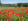 - image: 26