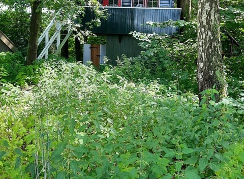 Maison nature à Beuningen (OV): 21