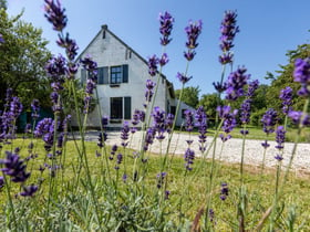 Maison nature à Baexem