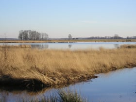 Natuurhuisje in Dwingeloo / Lhee