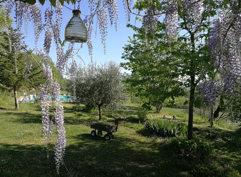 Nature house in Rotecastello: 67