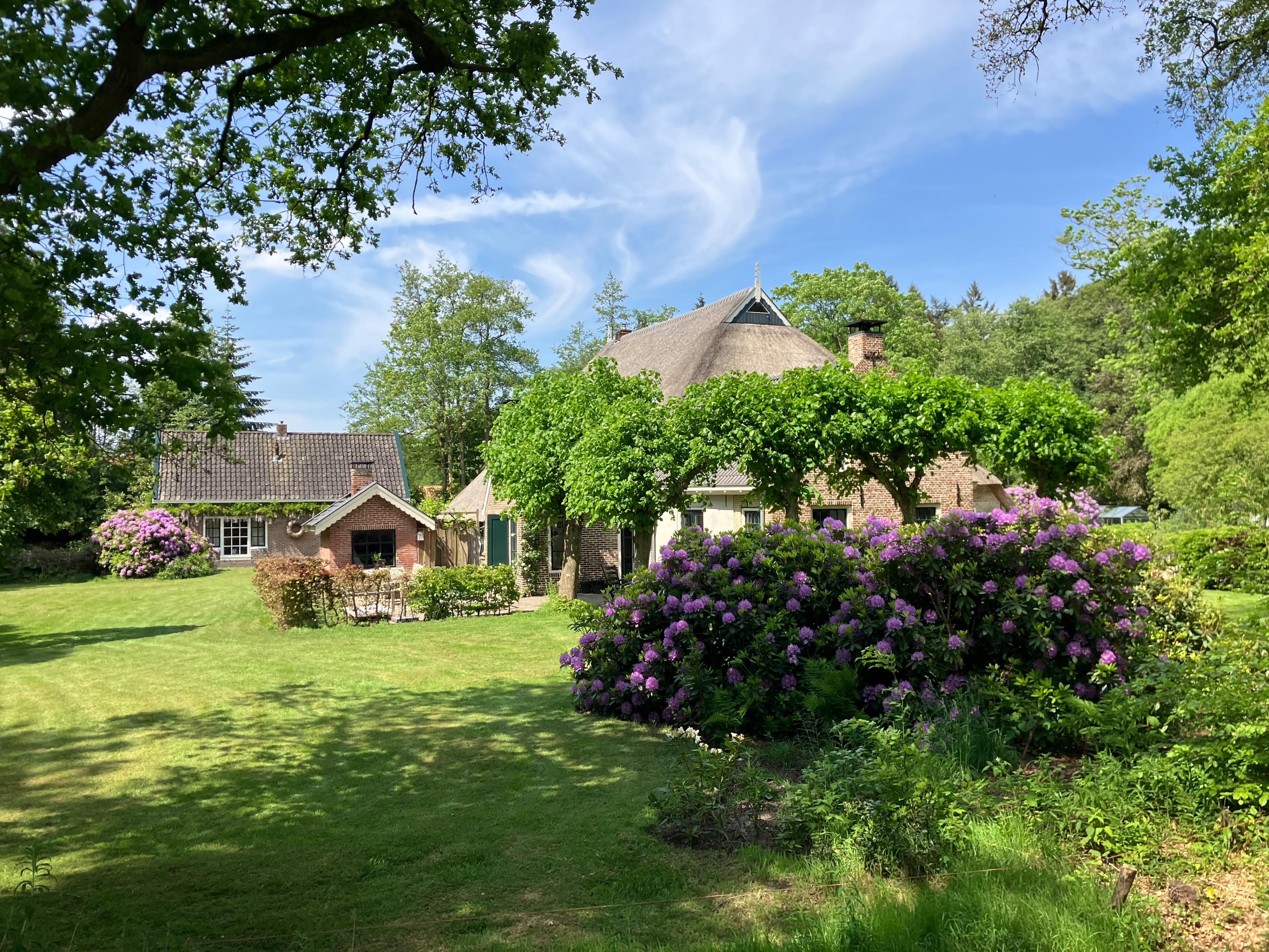 Natuurhuisje in Olterterp