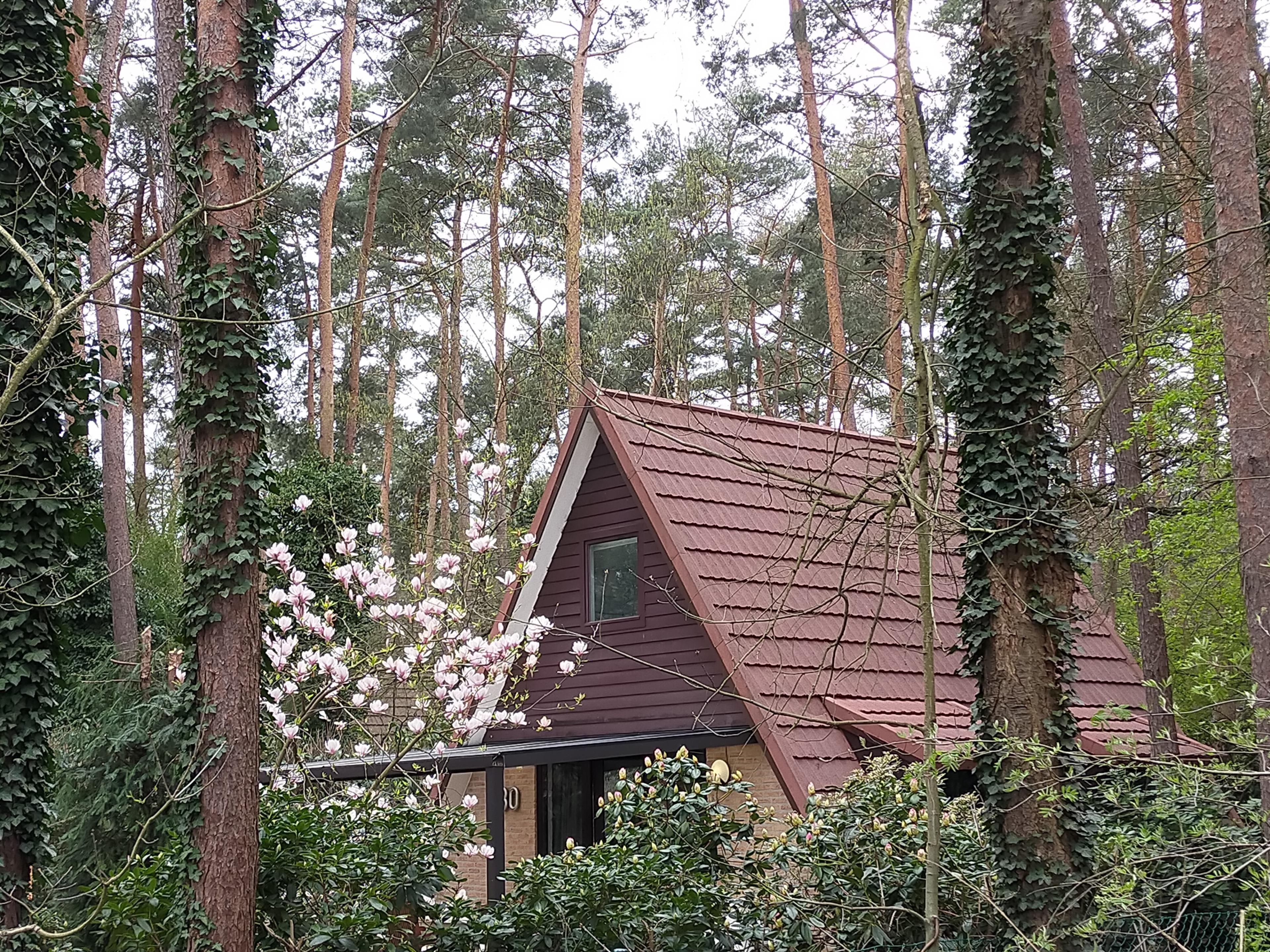 Nature house in Rekem