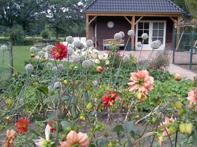 Naturhäuschen in Eerde Meierijstad