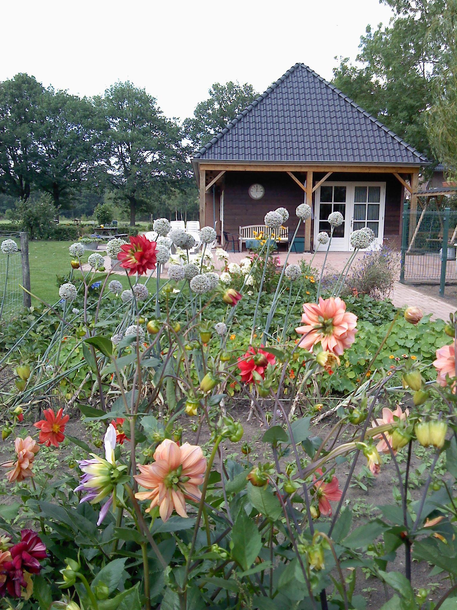 Maison nature à Eerde Meierijstad