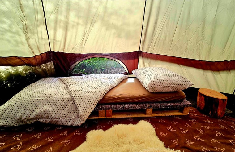 Safaritent in Huldenberg — foto 3