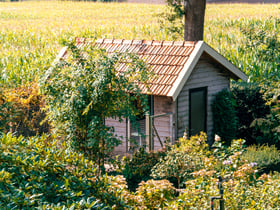 Natuurhuisje in Bruchterveld