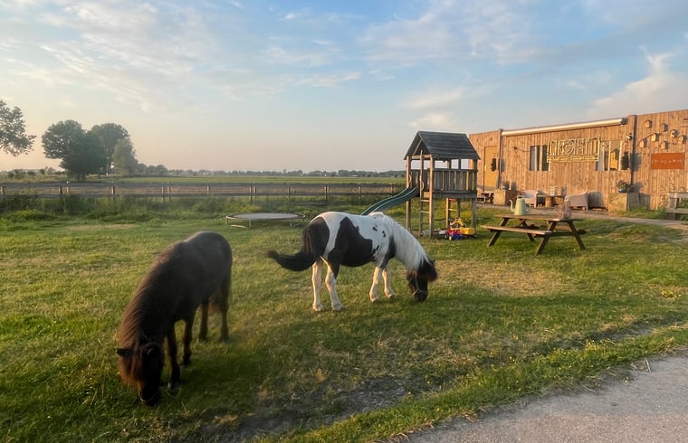 Natuurhuisje in Hoogblokland