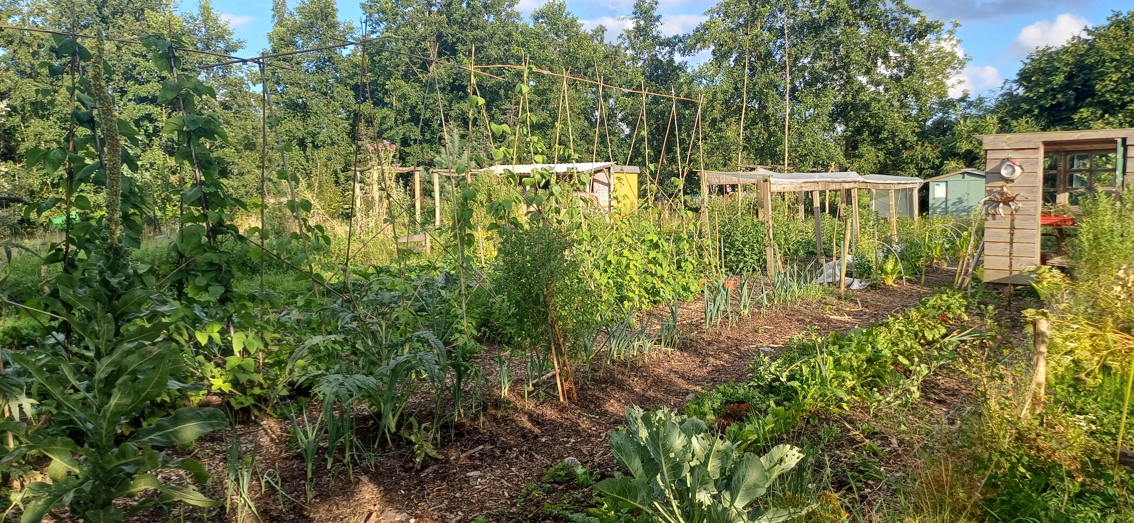 Nature house in Noardburgum