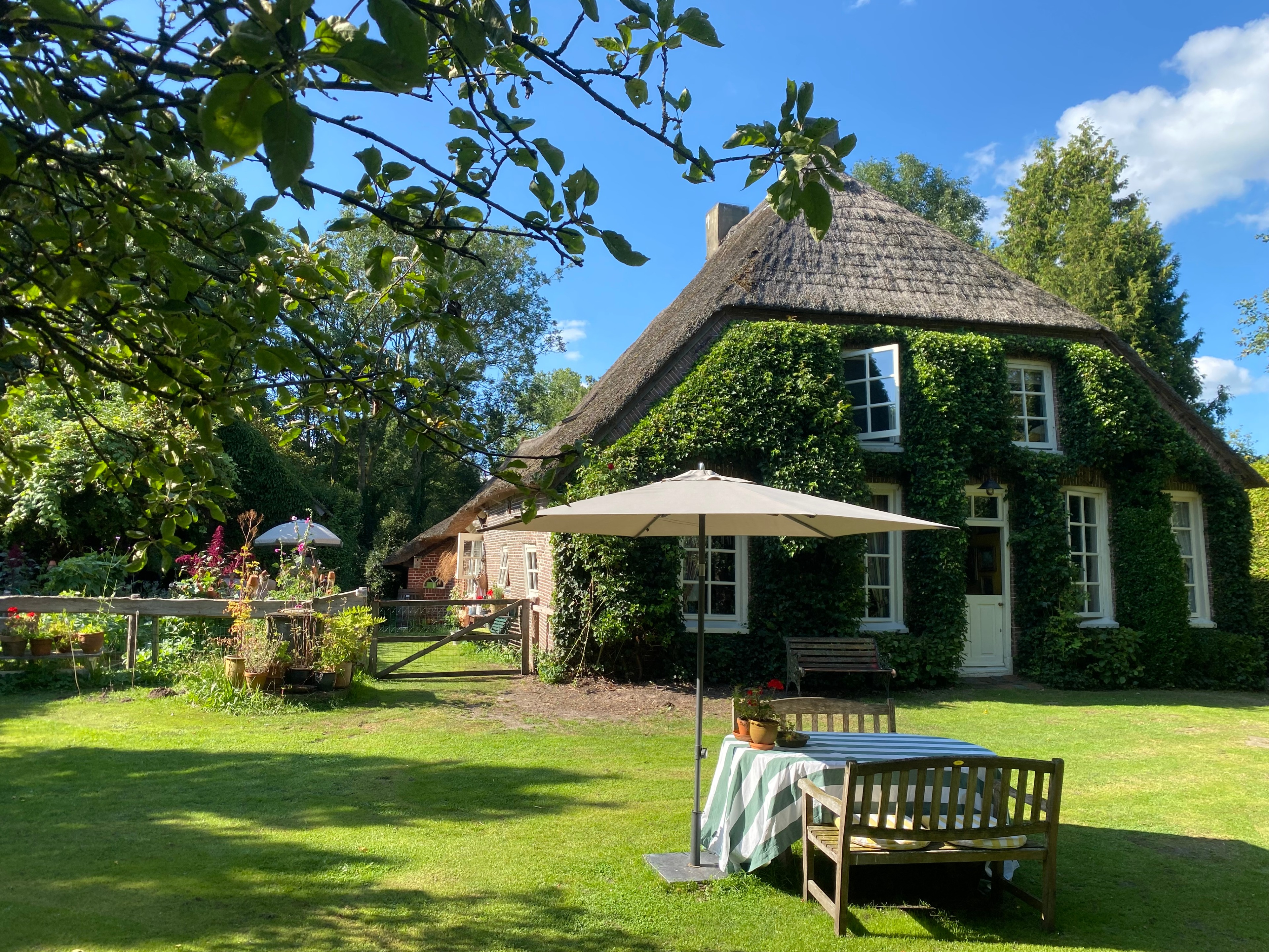 Natuurhuisje in Ruinerwold