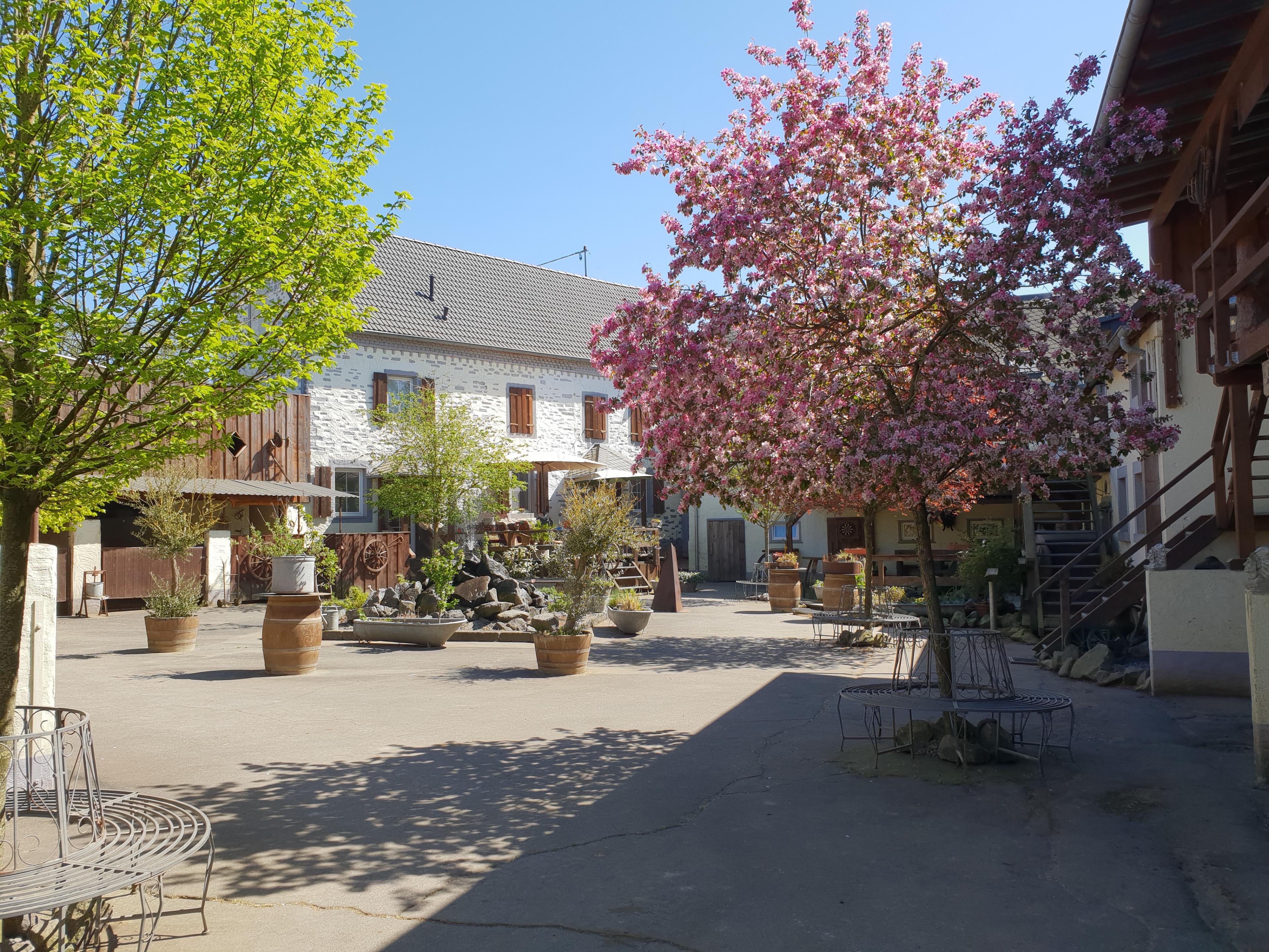 Nature house in Münstermaifeld