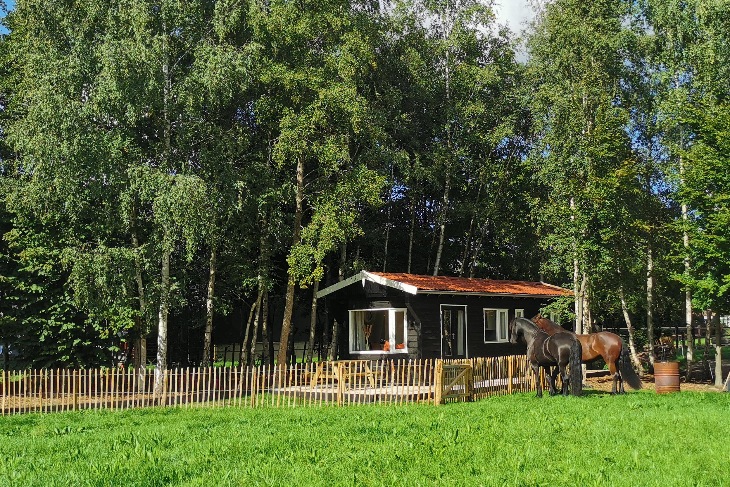 Natuurhuisje in Gameren