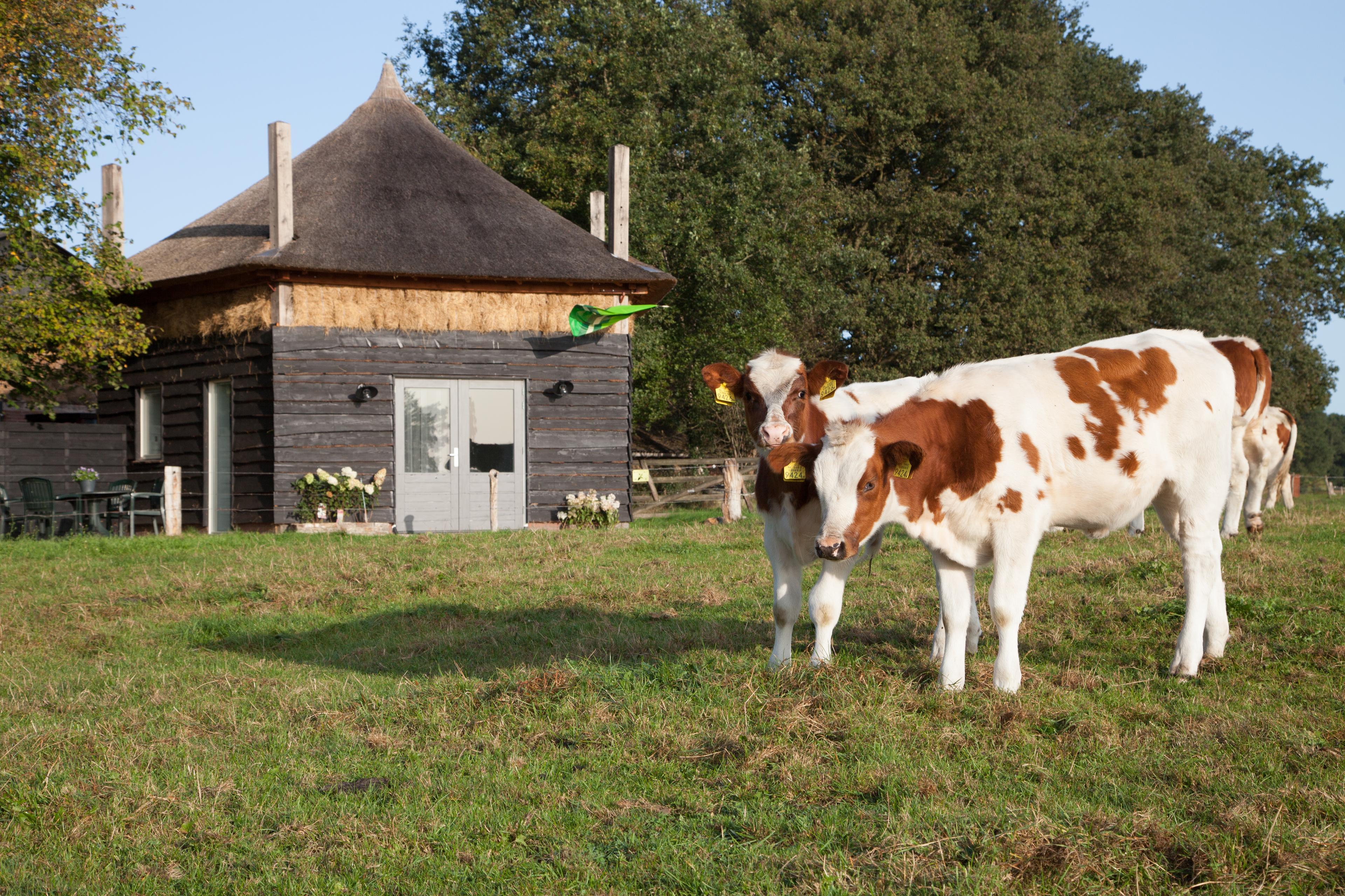 Nature house in 