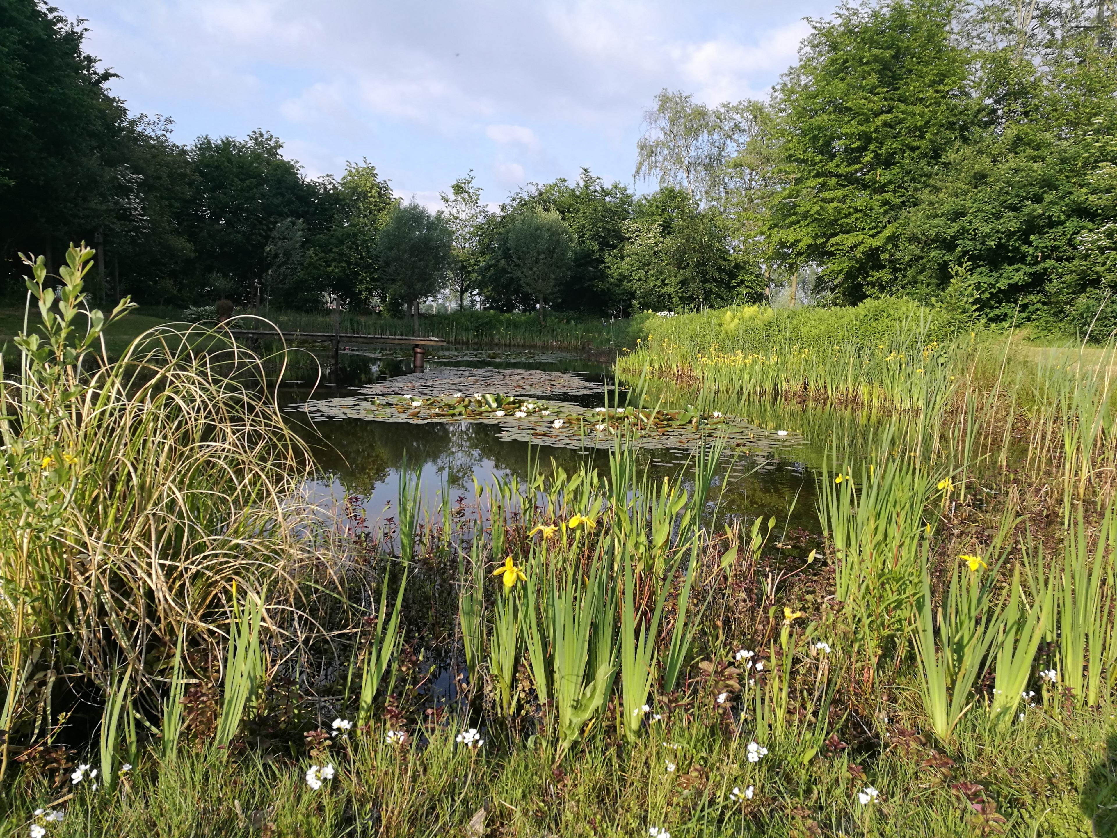 Maison nature à Erp