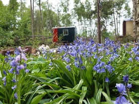 Maison nature à Nederweert Eind