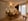 Nature house in Malmedy