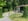 Nature house in Papenvoort
