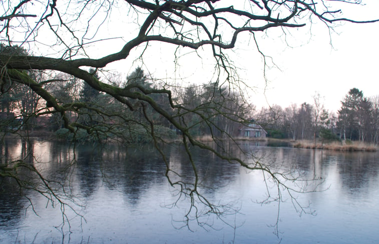 Natuurhuisje 29998 - Huisje In Een | Natuurhuisje.nl