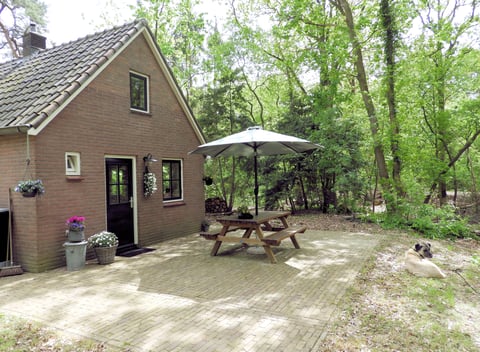 Nature house in Ommen: 2