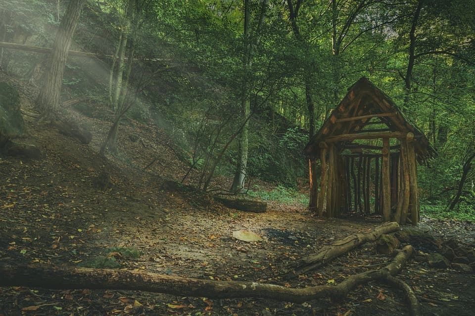 Nature house in The Hague