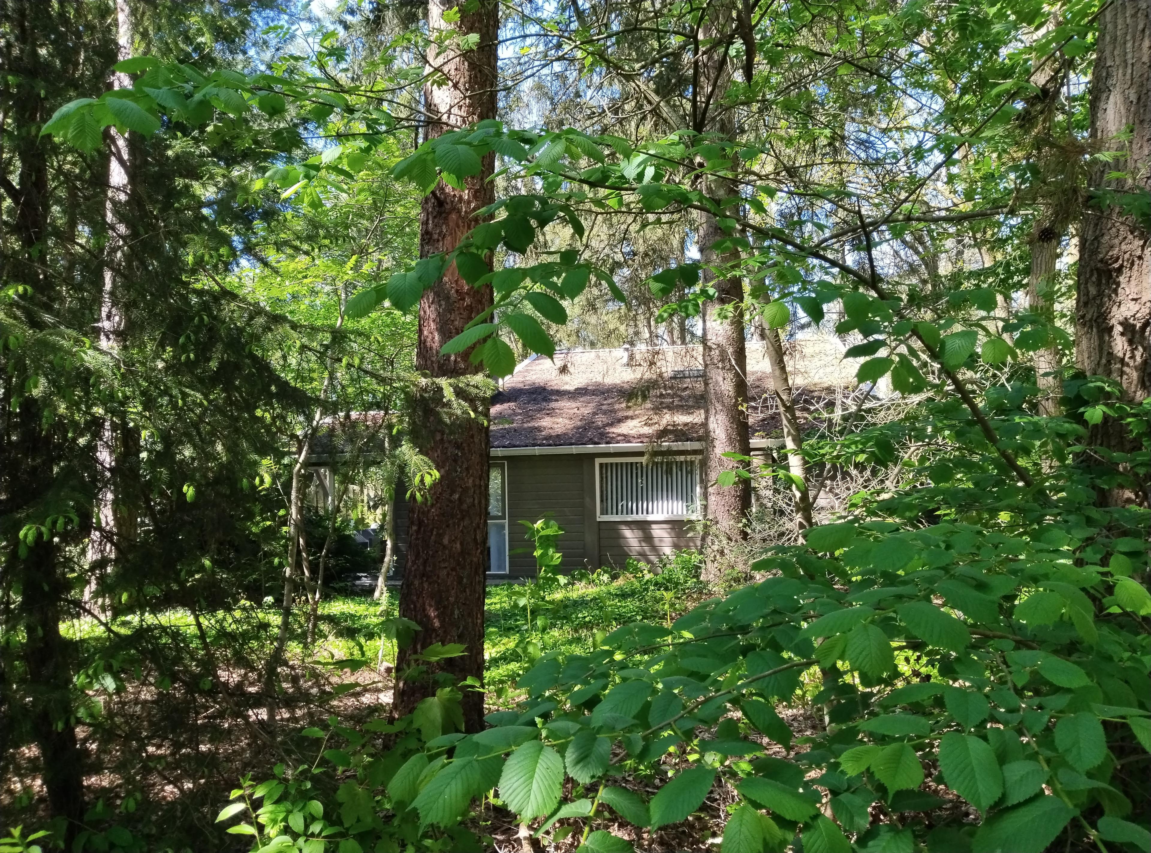 Maison nature à Rheezerveen