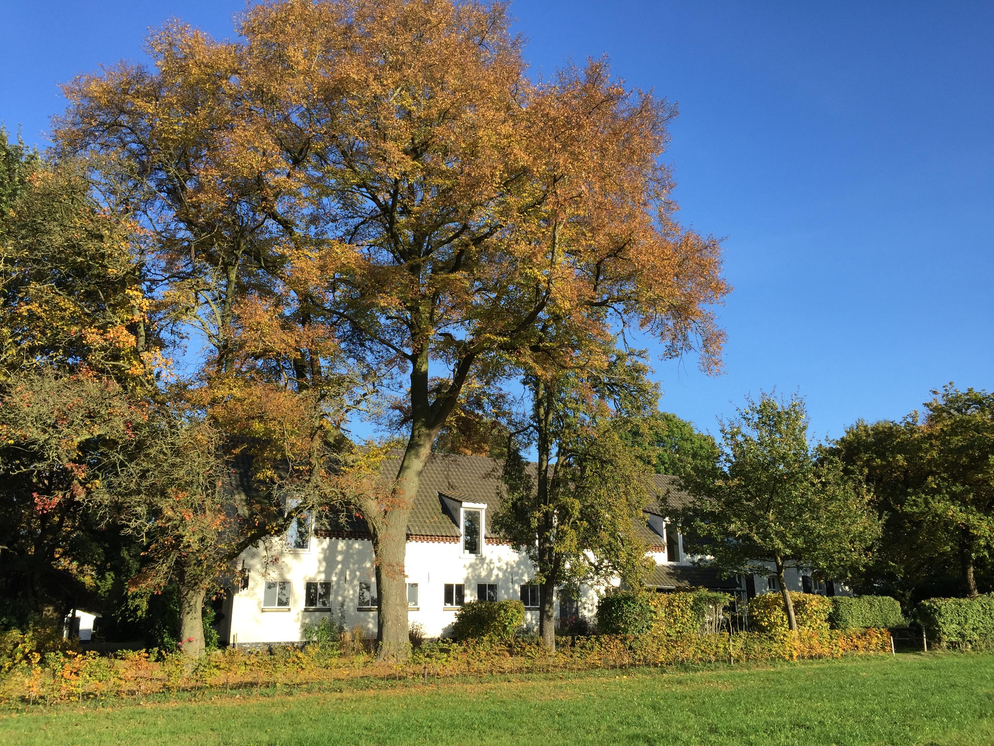 Natuurhuisje in Haler