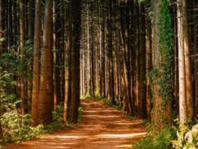 Naturhäuschen in Bussum