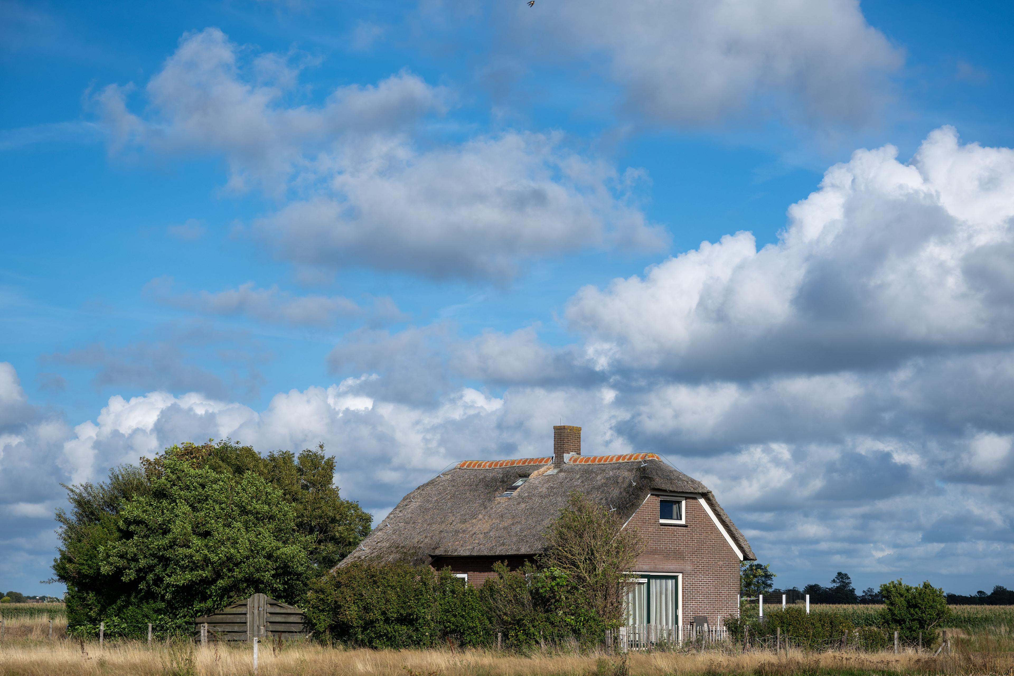 Nature house in De Waal