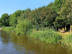 Nature house in Reahûs