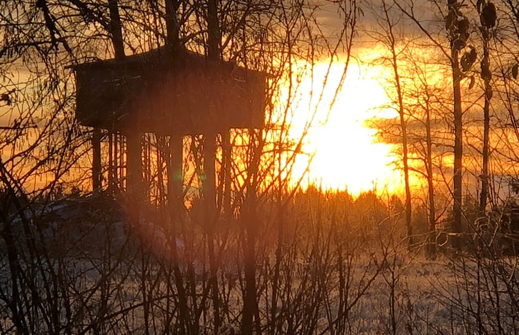 Nature house 47671 - cottage in Dalälvan 