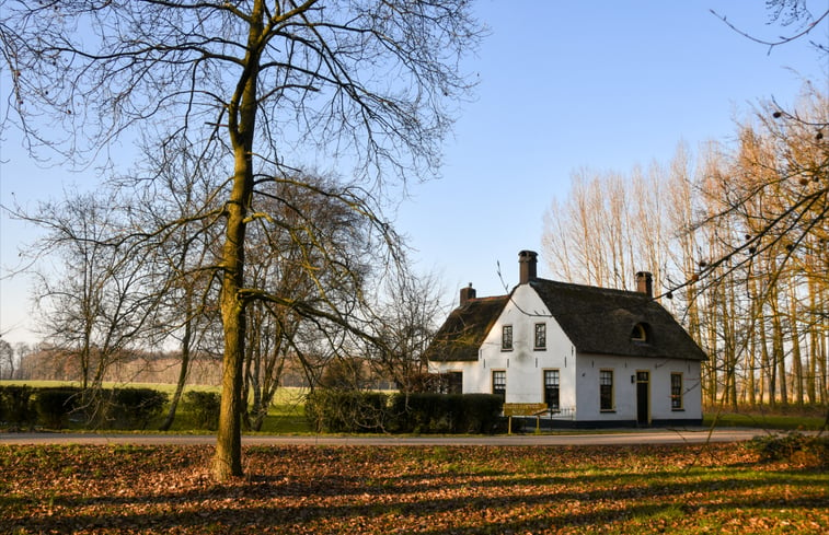 Natuurhuisje in Beesd