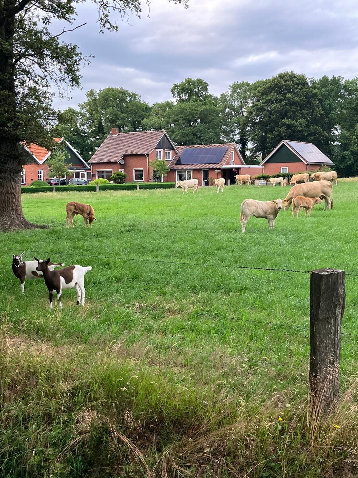 Nature house in Rossum