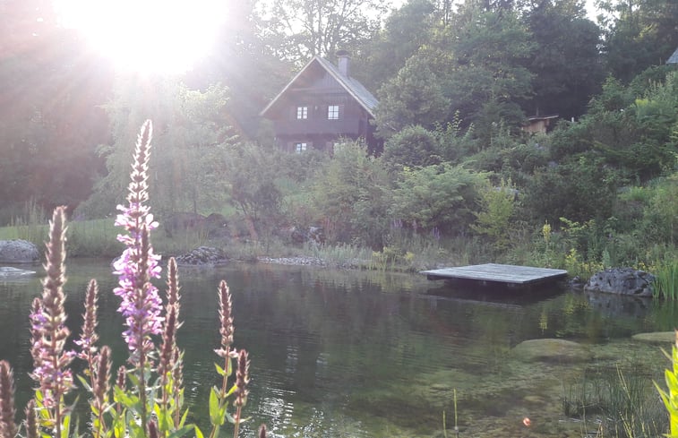 Nature house in Bad Mitterndorf: 7