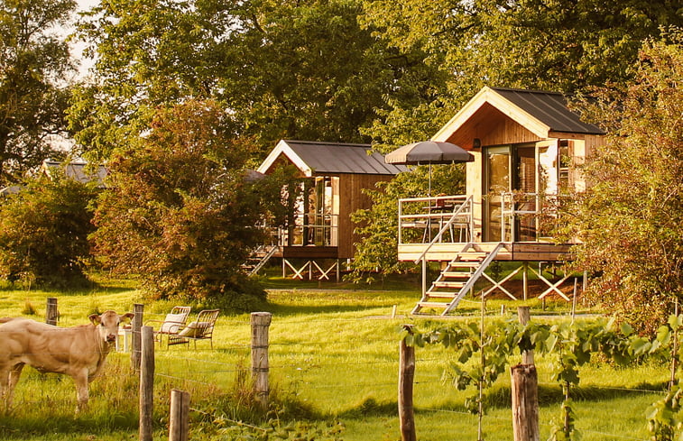 Natuurhuisje in Milsbeek